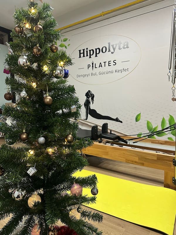 Hippolyta Pilates — Odunpazarı pilates stüdyosu
