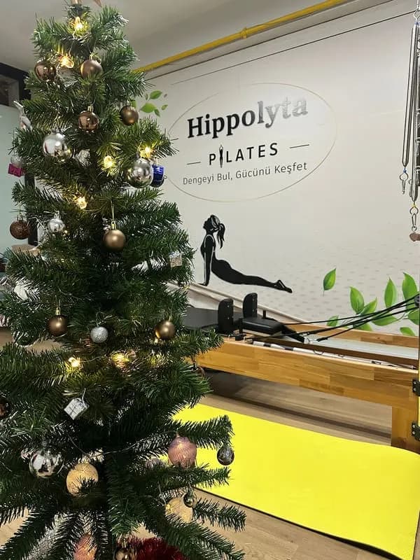 Hippolyta Pilates — Odunpazarı pilates stüdyosu