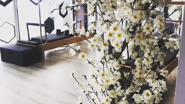 Endorfin Wellness&Pilates Stüdyo — Merkez pilates stüdyosu