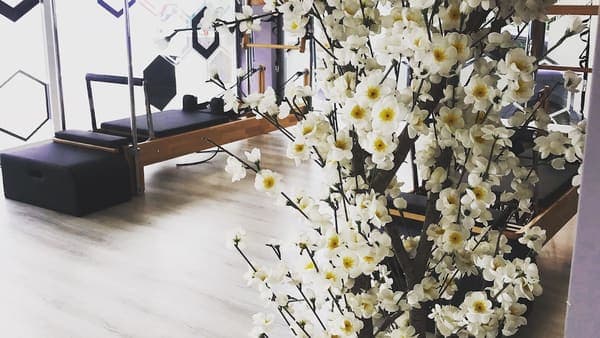 Endorfin Wellness&Pilates Stüdyo — Merkez pilates stüdyosu