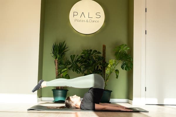 Pals Pilates & Dance — Tepebaşı pilates stüdyosu