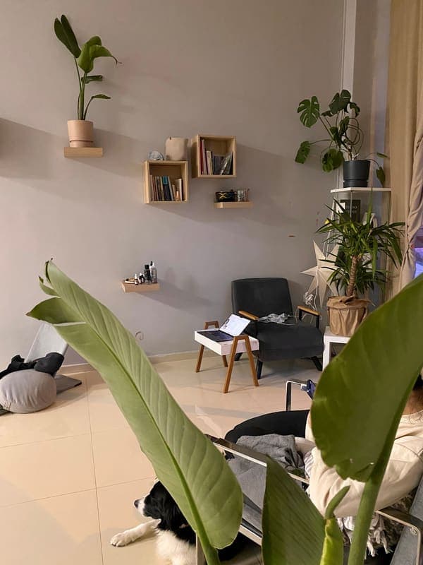 Pan Yoga & Reformer Studio — Bornova pilates stüdyosu