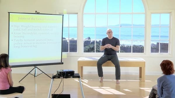 Polestar Pilates Levent İş Kuleleri — Levent pilates stüdyosu
