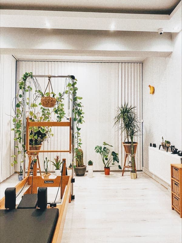 Studio Monkey Pilates - Kadıköy Caddebostan Pilates — Suadiye pilates stüdyosu
